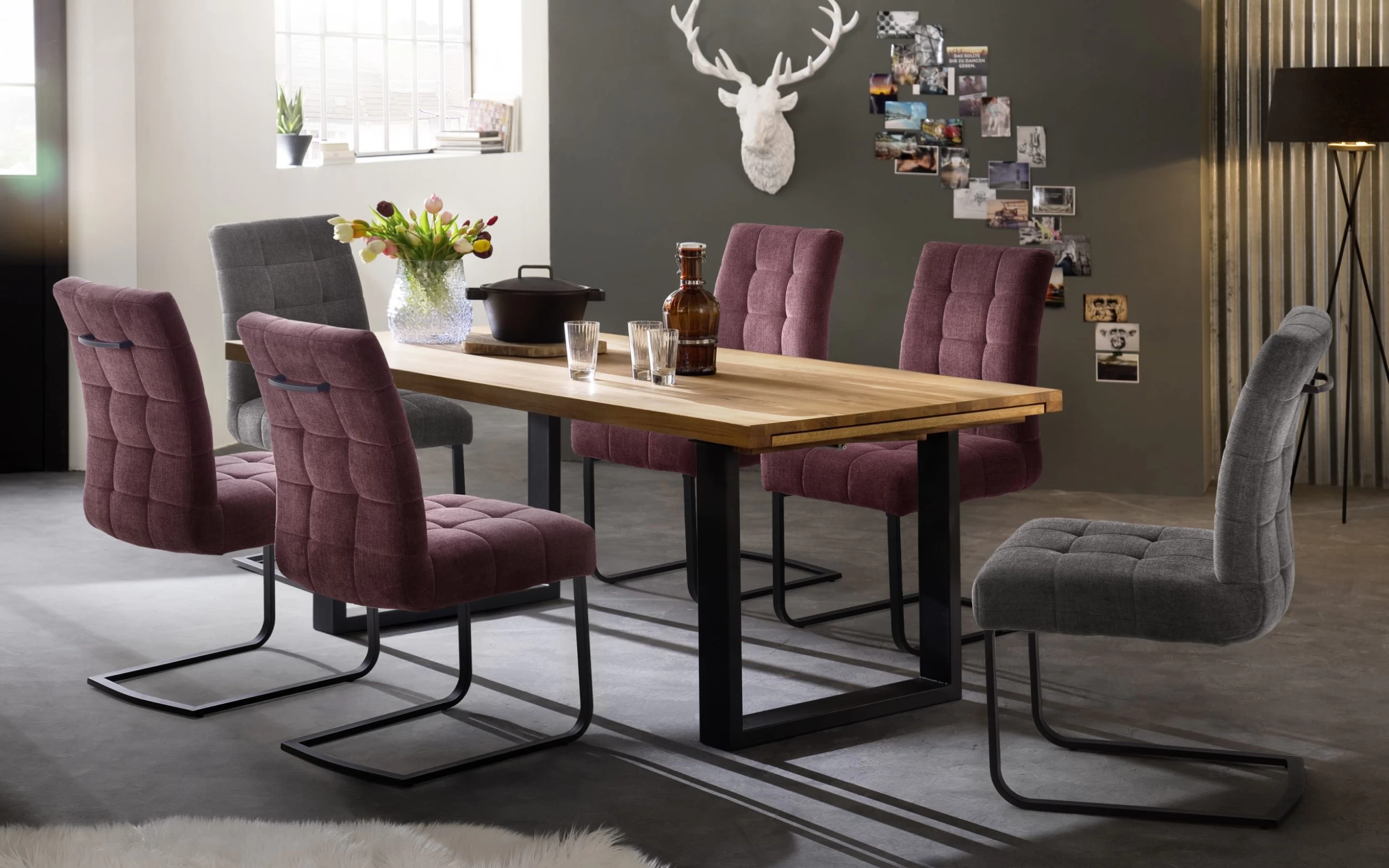 Schwingstuhl In Dunkelgrau Mit Griff Salta 2 Schwingstuhl In Dunkelgrau Mit Griff Salta – Bild 2